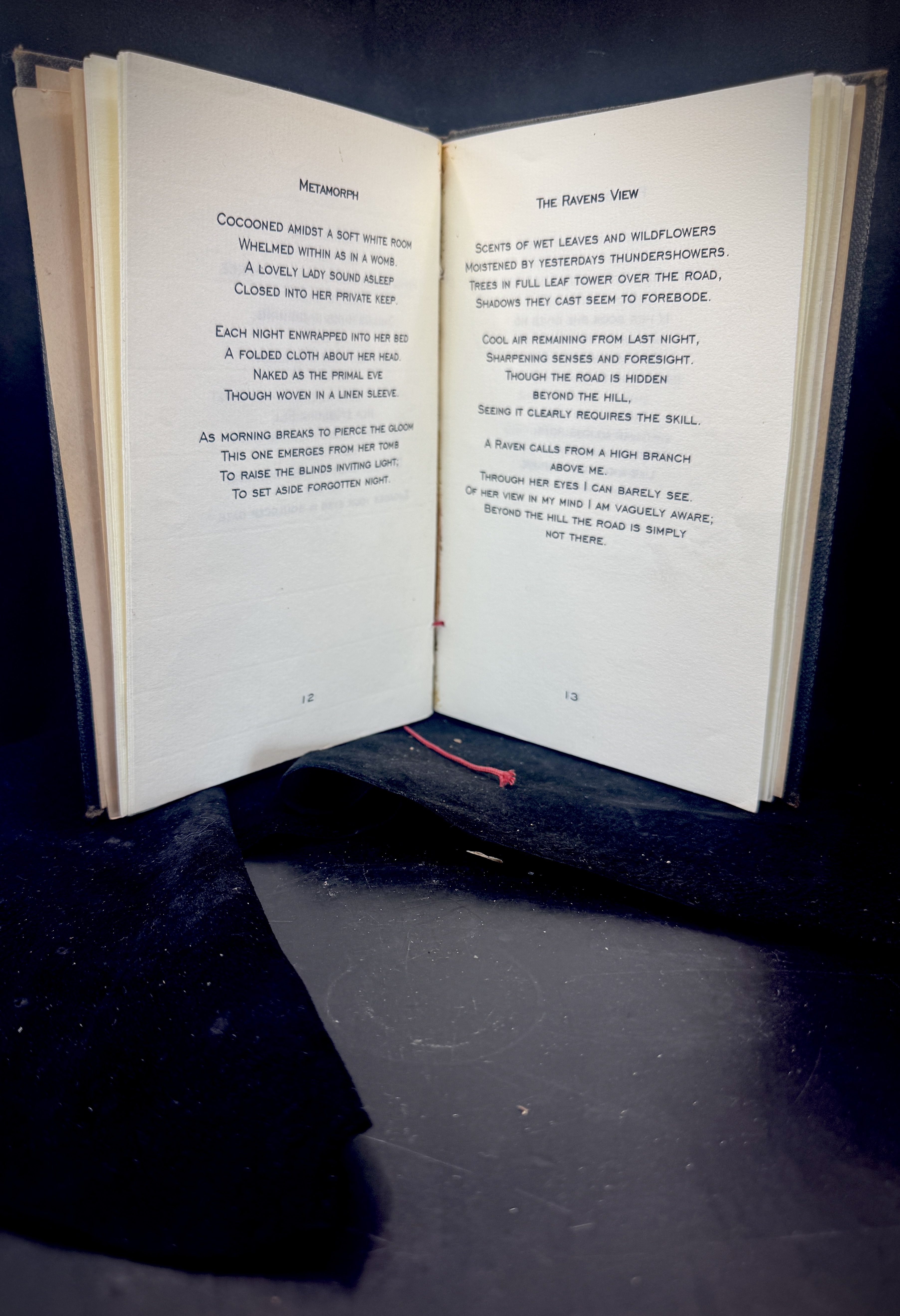 Open poetry book — Metamorph and The Ravens View by Bruce Magnotti